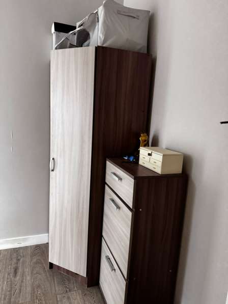 Шкаф в прихожую в Москве фото 5