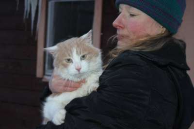 Отдам даром Молодой котик Рома в Санкт-Петербурге фото 5