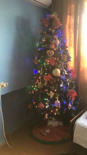 Искусанная елка