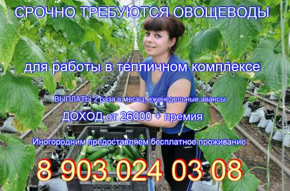 Приглашаем на работу в Старом Осколе фото 3