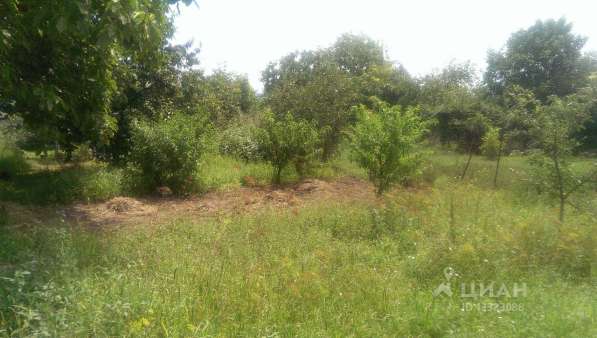 Продам жилой дом в Передовом в Севастополе фото 10