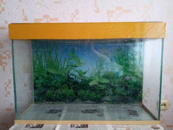 Продам аквариум в фото 3