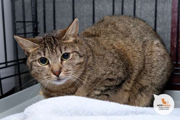 Робкая Беатриче мечтает оказаться чьим-то счастьем