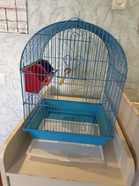 Продаю клетку для попугайчиков с домиком для гнездования