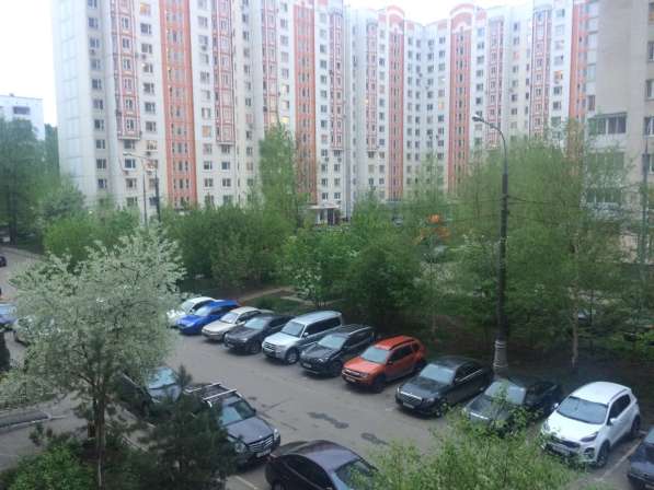 Сдам квартиру 2к, 61м в Москве фото 3