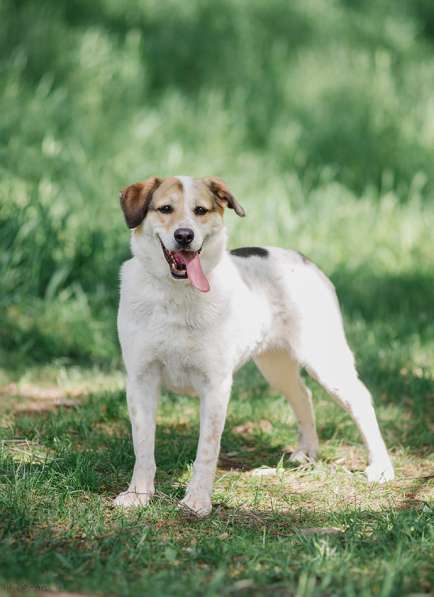 Улыбчивый лучик Фаина ищет семью в Москве фото 32