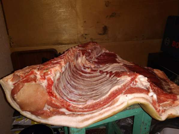Свинина в полутушах и разделанная в Подольске фото 5