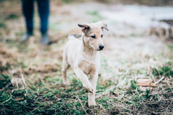 Великолепная Четверка в дар в Москве фото 35