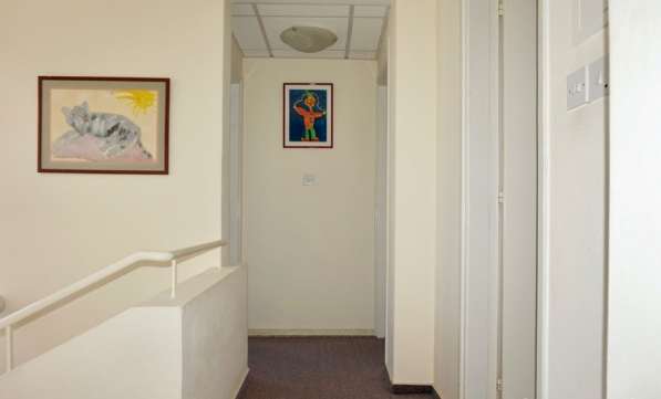 Бунгало в районе Пафоса-Кипр в Москве фото 95