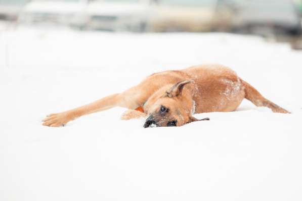 Чудесная Бриа ищет семью в Москве фото 11