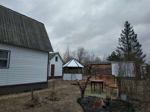 Продам дачу в Орехово-Зуево фото 20