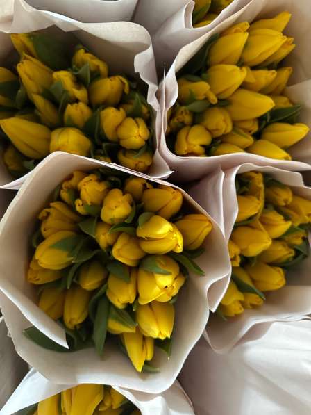 Тюльпаны к 8 марта в Владивостоке фото 3