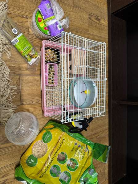 ДЖУНГАРСКИЙ ХОМЯК СО ВСЕМ НЕОБХОДИМЫМ в Стерлитамаке фото 4