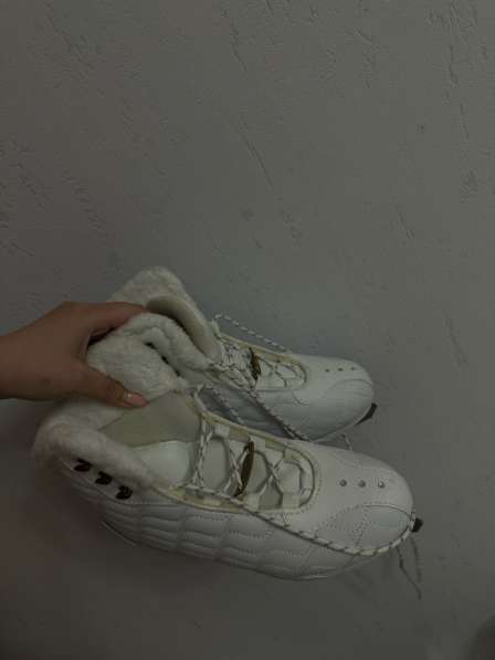 Коньки в Барнауле