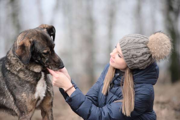 Надёжный Друг Курт ищет семью в Москве фото 59
