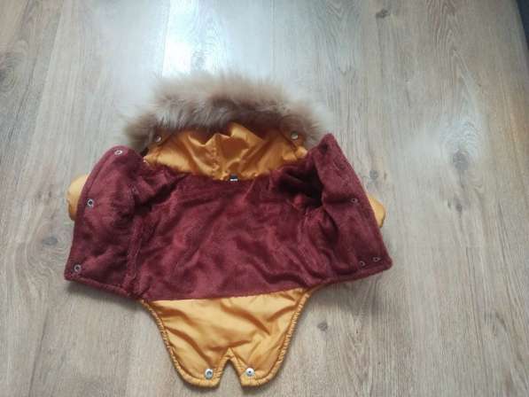 Куртка для собак мелких пород в Кирове фото 3