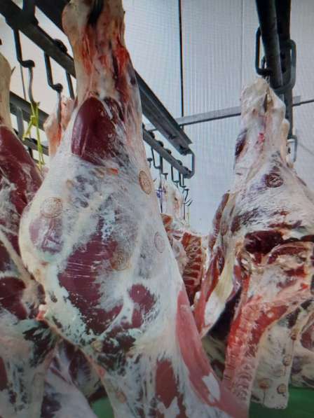 Продается мясо-колбасный бизнес в Румынии в 