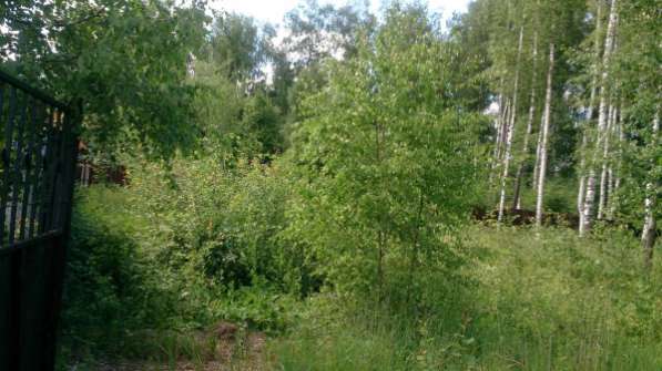 Участок в Ногинске фото 3