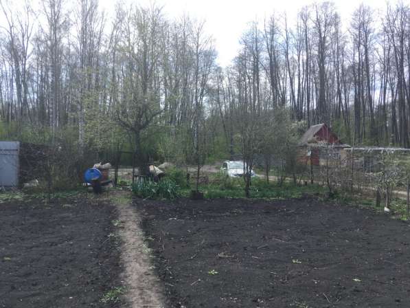 Дача в пригородном лесу в Тамбове фото 7