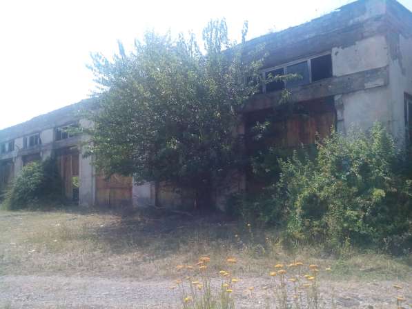 В Грузии, в Телави в фото 13