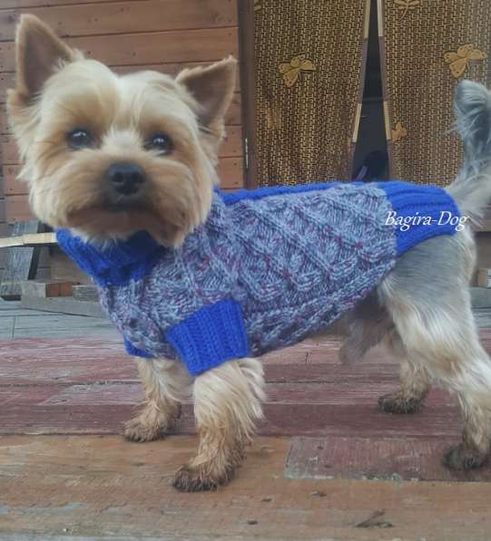 Свитера для собак ручной работы в Москве фото 21