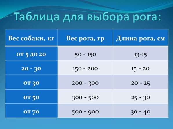 Игрушка из рога для собак