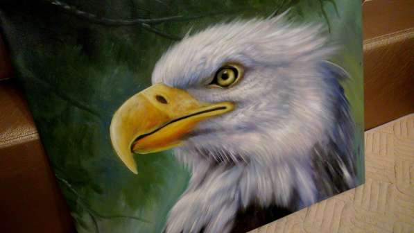 Белый орел, 60х50см, Картина маслом на холсте в Москве