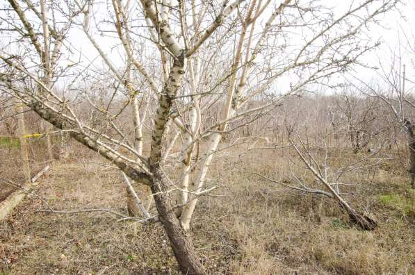 Продам земельный участок в г.Симферополь. Индивидуальное жилищное ст-во. Площадь 4 сот. Есть электричество.