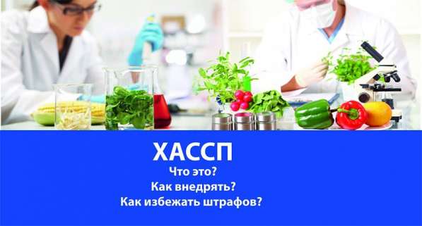 Внедрение сертификата ХАССП. Избежание от штрафов в Москве фото 3