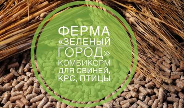 Ферма « Зелёный город» в Миассе фото 7