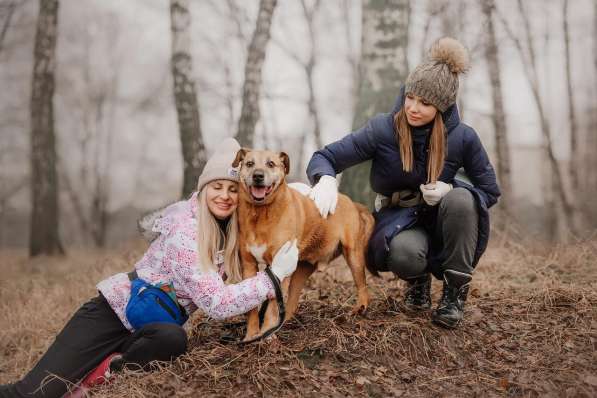 Воспитанный Бисмарк ищет семью в Москве фото 20