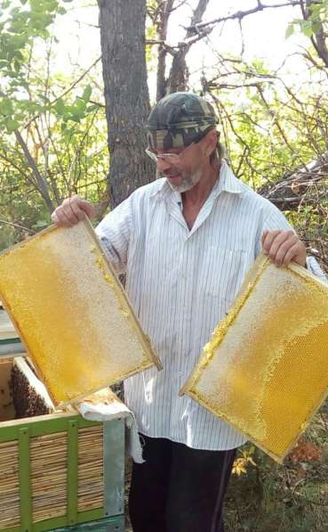 Мёд натуральный в Севастополе фото 6
