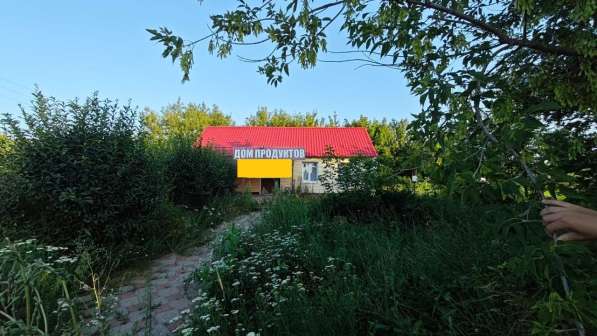 Продам магазин в с. Черкассы в Елеце фото 8