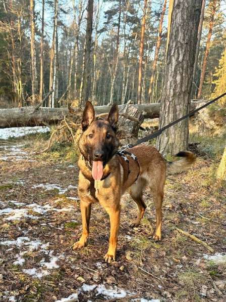 Красавчик Анзор ищет дом в Москве