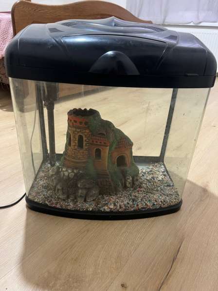 Аквариум в Каневской фото 3