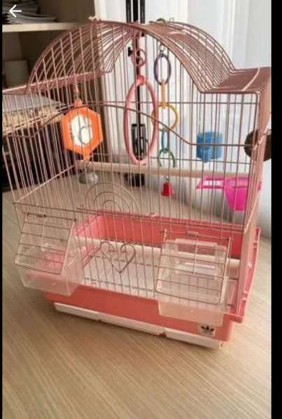 Клетка для волнистого попугая