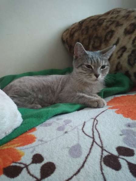 Крошка Ева в Кирове фото 4