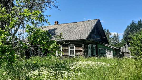 Зимний дом на хуторе, 1 гектар земли в Пскове фото 10