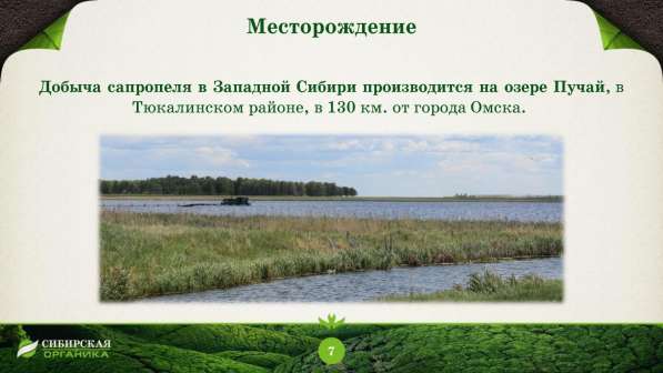 Продаю органическое удобрение (сапропель) в Сочи фото 13