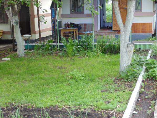 Продам сад (СНТ Дружба) в Магнитогорске фото 3