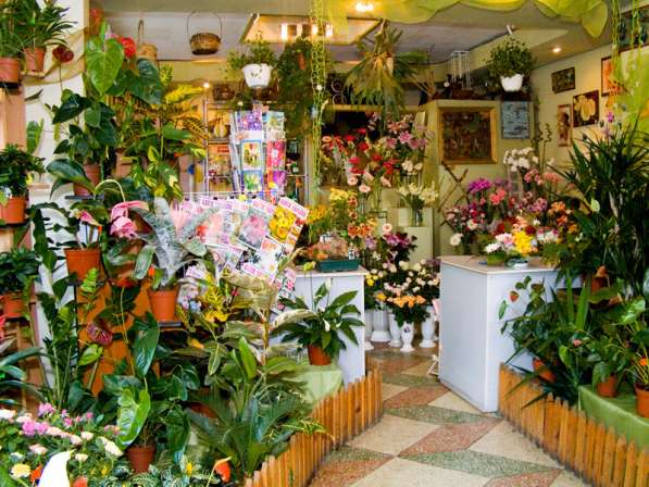 Продаю салон цветов с гарантированной прибылью
