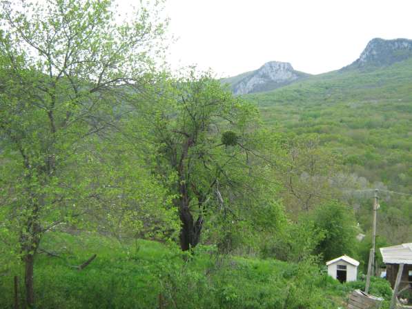 Земля в горах в Симферополе фото 4