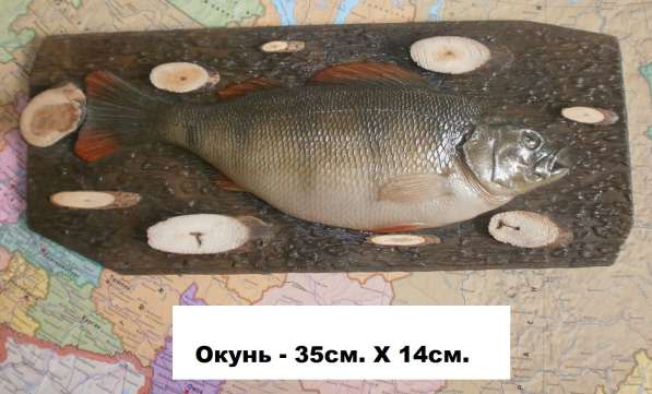 Сувенир для рыбака и охотника в Новосибирске фото 3