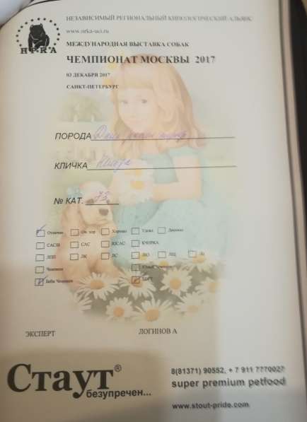 ЩЕНКИ в Санкт-Петербурге фото 3