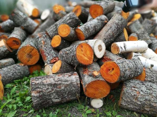 Распилка дров и древесины бензопилой