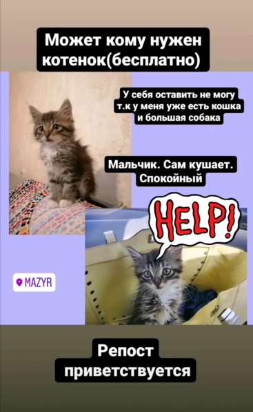 По всем вопросам звоните, пожалуйста, по номеру (