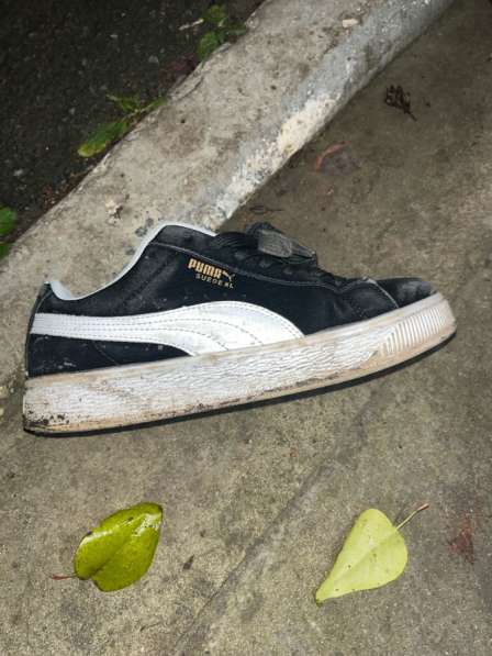 Настоящая пума в Миллерово фото 4