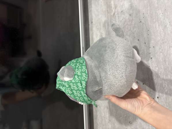 Кошка в косынке в Москве