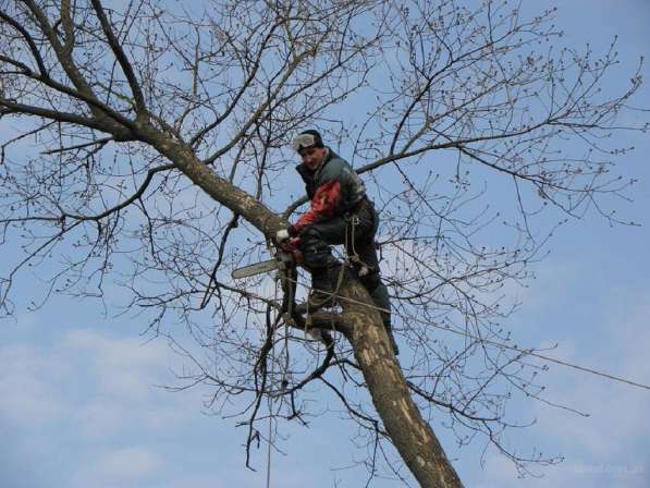 Земельные работы. Колодцы Септики Траншеи в Воронеже фото 8