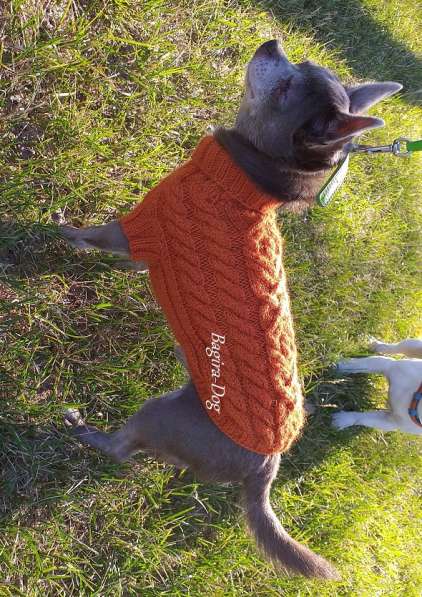 Свитера для собак ручной работы в Москве фото 30